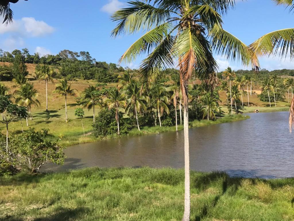 Oka 22 Beira-mar São Miguel dos Milagres Exterior foto